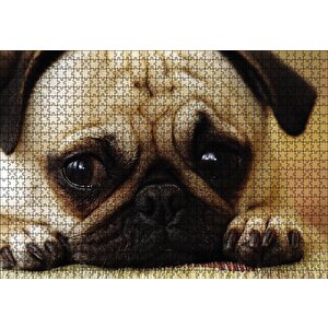 Pug Cinsi Köpek Puzzle Yapboz Mdf Ahşap 1000 Parça