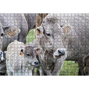 Çayırda Gri İnekler Ve Sevimli Buzağı Puzzle Yapboz Mdf Ahşap 500 Parça