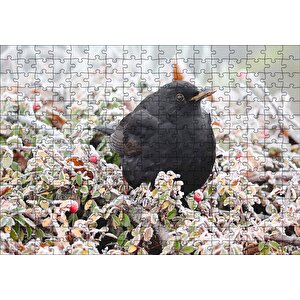 Donmuş Çalıların Arasındaki Karatavuk Puzzle Yapboz Mdf Ahşap 255 Parça