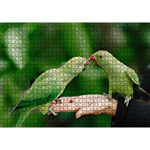 El Üzerinde Bir Çift Sevda Papağanı Puzzle Yapboz Mdf Ahşap 1000 Parça