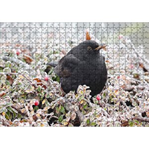 Donmuş Çalıların Arasındaki Karatavuk Puzzle Yapboz Mdf Ahşap 500 Parça