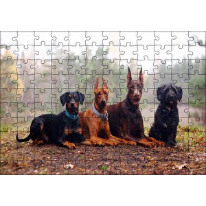 Sonbahar Yaprakları Üzerindeki 4 Köpek Puzzle Yapboz Mdf Ahşap 120 Parça