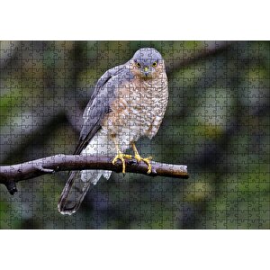 Dalda Etrafı Kolaçan Eden Doğan Puzzle Yapboz Mdf Ahşap 500 Parça