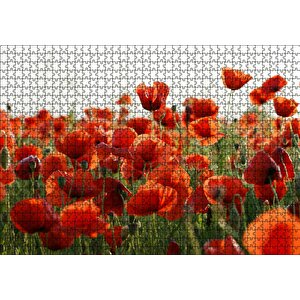 Cakapuzzle Çayırda Kırmızı Gelincikler Puzzle Yapboz Mdf Ahşap