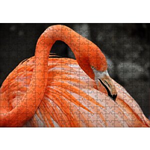 Turuncu Flamingo Puzzle Yapboz Mdf Ahşap 255 Parça