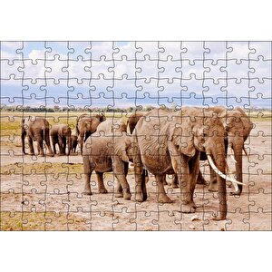 Afrika Savanada Filler Bir Arada Puzzle Yapboz Mdf Ahşap 120 Parça