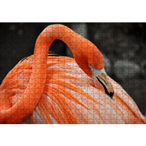 Turuncu Flamingo Puzzle Yapboz Mdf Ahşap 500 Parça