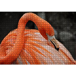 Turuncu Flamingo Puzzle Yapboz Mdf Ahşap 1000 Parça