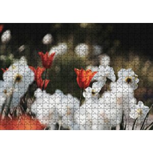 Beyaz Ve Kırmızı Gelincikler Flu Arka Plan Puzzle Yapboz Mdf Ahşap 500 Parça