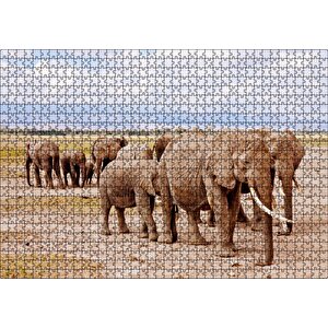 Afrika Savanada Filler Bir Arada Puzzle Yapboz Mdf Ahşap 1000 Parça