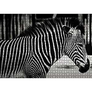 Benzersiz Deseniyle Zebra Yakın Çekim Puzzle Yapboz Mdf Ahşap 1000 Parça
