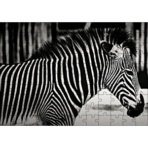 Benzersiz Deseniyle Zebra Yakın Çekim Puzzle Yapboz Mdf Ahşap 120 Parça