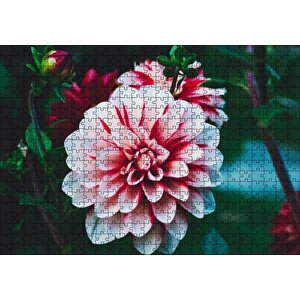 Pembe Beyaz Yıldız Çiçeği Puzzle Yapboz Mdf Ahşap 500 Parça