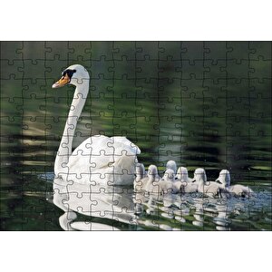 Gölde Yüzen Beyaz Kuğu Ve Arkasında Yavruları Puzzle Yapboz Mdf Ahşap 120 Parça