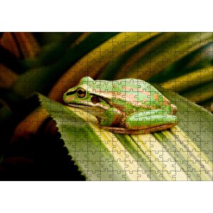 Cakapuzzle Yaprak Üzerinde Dinlenen Yeşil Kurbağa Puzzle Yapboz Mdf Ahşap
