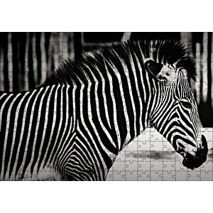 Benzersiz Deseniyle Zebra Yakın Çekim Puzzle Yapboz Mdf Ahşap 255 Parça
