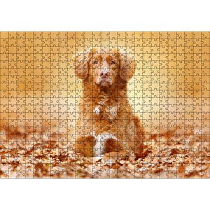 Sonbahar Yaprakları Üzerindeki Kahverengi Köpek Puzzle Yapboz Mdf Ahşap 500 Parça