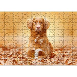 Sonbahar Yaprakları Üzerindeki Kahverengi Köpek Puzzle Yapboz Mdf Ahşap 255 Parça