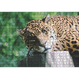 Kütüğün Üzerinde Dinlenen Leopar Yakın Çekim Puzzle Yapboz Mdf Ahşap 500 Parça
