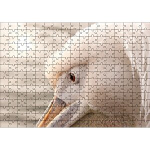 Pelikan Yakın Çekim Flu Arkaplan Puzzle Yapboz Mdf Ahşap 255 Parça