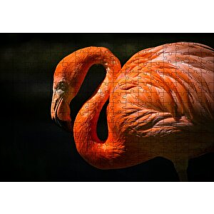 İhtiyar Flamingo Karanlık Arka Plan Puzzle Yapboz Mdf Ahşap 255 Parça