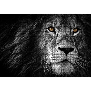 Yalnız Kral Erkek Aslan Yakın Portre Siyah Beyaz Puzzle Yapboz Mdf Ahşap 1000 Parça