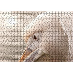 Pelikan Yakın Çekim Flu Arkaplan Puzzle Yapboz Mdf Ahşap 500 Parça