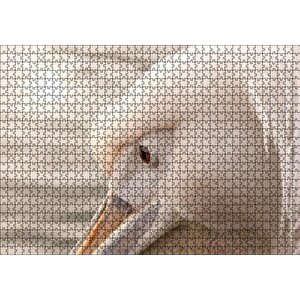Pelikan Yakın Çekim Flu Arkaplan Puzzle Yapboz Mdf Ahşap 1000 Parça