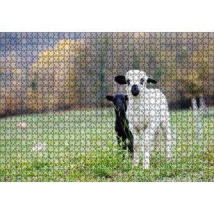 Çayırda Beyaz Ve Siyah Kuzular Flu Arka Plan Puzzle Yapboz Mdf Ahşap 1000 Parça