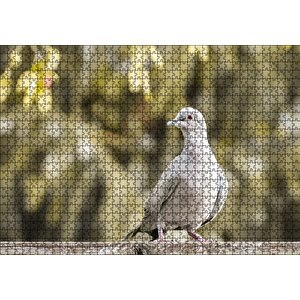 Kütük Üzerinde Gri Kumru Flu Arka Plan Puzzle Yapboz Mdf Ahşap 1000 Parça