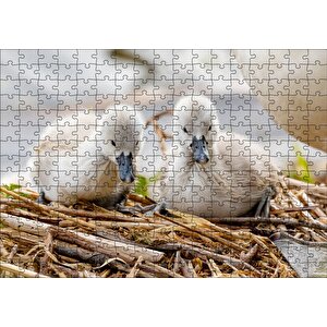 Anne Altında İki Sevimli Kuğu Yavrusu Puzzle Yapboz Mdf Ahşap 255 Parça