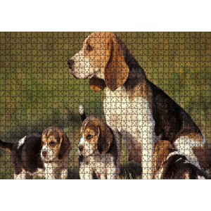 Anne Beagle Ve Sevimli Yavruları Puzzle Yapboz Mdf Ahşap 1000 Parça