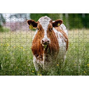 Çayırda Kahverengi Beyaz İnek Puzzle Yapboz Mdf Ahşap 255 Parça