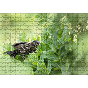 Yeşil Yaprakların Arasındaki Bıldırcın Puzzle Yapboz Mdf Ahşap 255 Parça