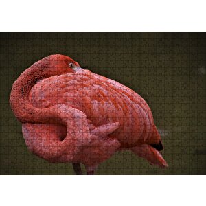 Kendine Sarılan Flamingo Puzzle Yapboz Mdf Ahşap 500 Parça