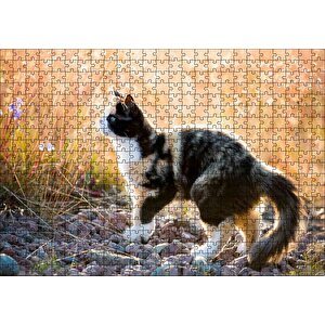 Taşların Üzerinde 3 Renk Kedi Ve Sarı Otlar Puzzle Yapboz Mdf Ahşap 500 Parça