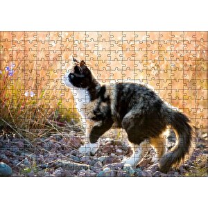Taşların Üzerinde 3 Renk Kedi Ve Sarı Otlar Puzzle Yapboz Mdf Ahşap 255 Parça
