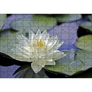 Gölde Nilüfer Çiçeği Ve Yaprakları Puzzle Yapboz Mdf Ahşap 120 Parça