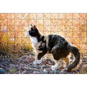 Taşların Üzerinde 3 Renk Kedi Ve Sarı Otlar Puzzle Yapboz Mdf Ahşap 120 Parça