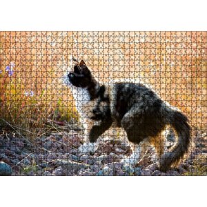 Taşların Üzerinde 3 Renk Kedi Ve Sarı Otlar Puzzle Yapboz Mdf Ahşap 1000 Parça