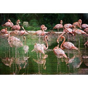 Durgun Gölde Beslenen Flamingolar Puzzle Yapboz Mdf Ahşap 255 Parça