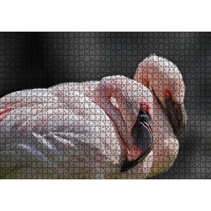 Uyuklayan Bir Çift Flamingo Puzzle Yapboz Mdf Ahşap 1000 Parça