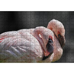 Uyuklayan Bir Çift Flamingo Puzzle Yapboz Mdf Ahşap 255 Parça
