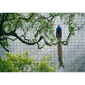 Ağaç Dalındaki Hint Tavuskuşu Puzzle Yapboz Mdf Ahşap 500 Parça