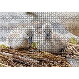 Anne Altında İki Sevimli Kuğu Yavrusu Puzzle Yapboz Mdf Ahşap 1000 Parça