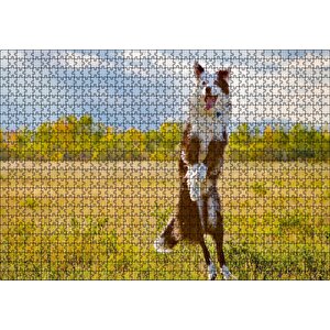 Sarı Çayırda Zıplayan Kahverengi Beyaz Köpek Puzzle Yapboz Mdf Ahşap 1000 Parça