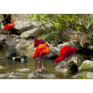 Nehir Kenarında Taşlar Kızıl Balıkçıllar Ve Ördekler Puzzle Yapboz Mdf Ahşap 120 Parça