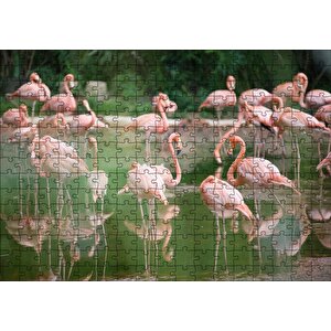 Durgun Gölde Beslenen Flamingolar Puzzle Yapboz Mdf Ahşap 255 Parça