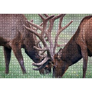 Yeşil Çayırda Otlayan Boynuzlu Geyikler Puzzle Yapboz Mdf Ahşap 1000 Parça