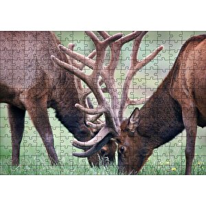 Yeşil Çayırda Otlayan Boynuzlu Geyikler Puzzle Yapboz Mdf Ahşap 255 Parça